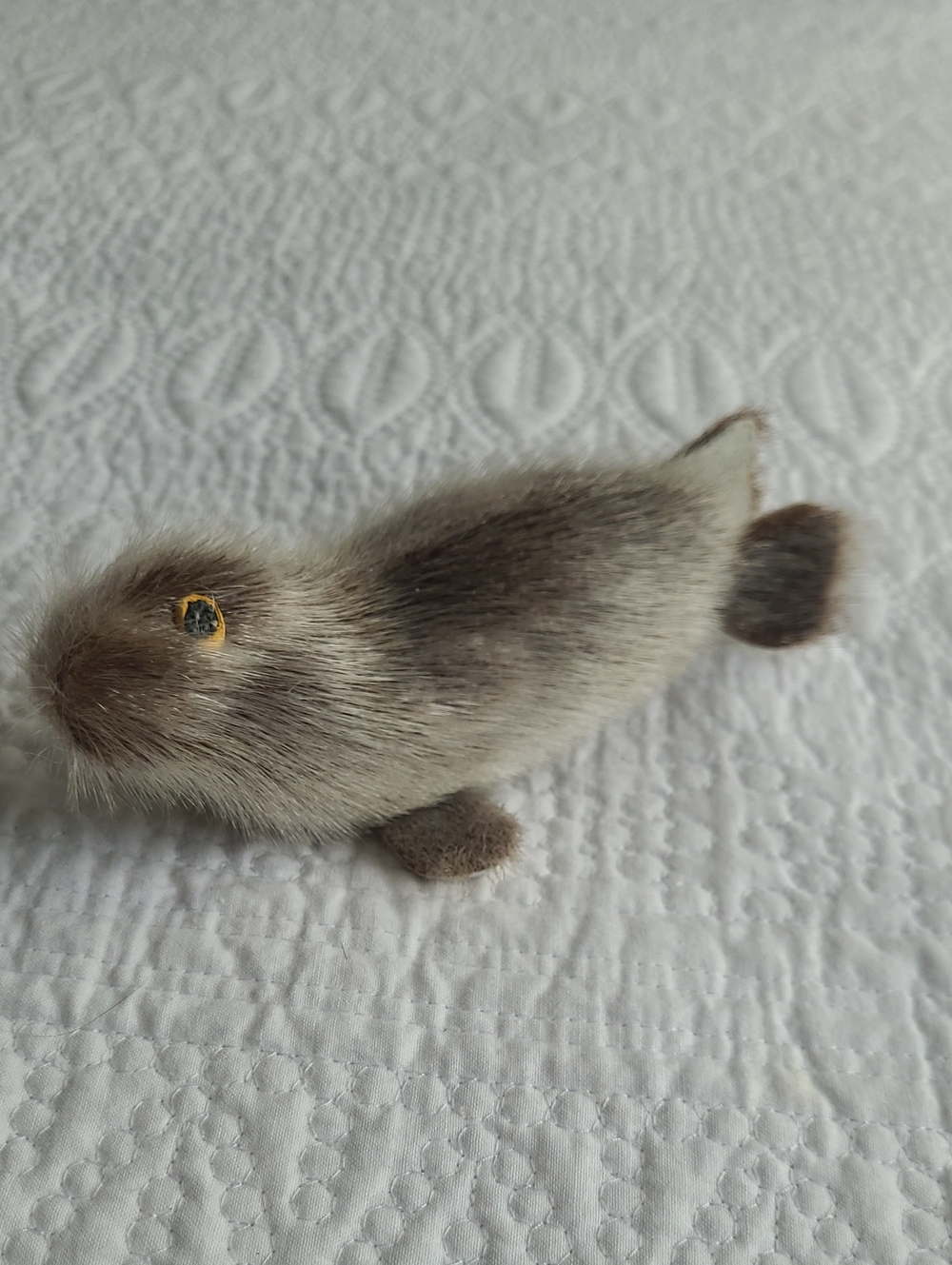 Inuit art seal